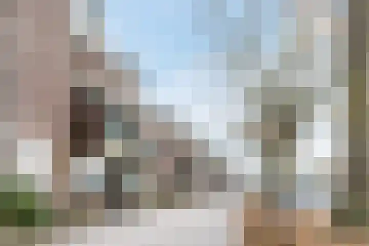 Terwaenen 84 Oss thumbnail 11
