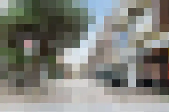 Terwaenen 84 Oss thumbnail 12