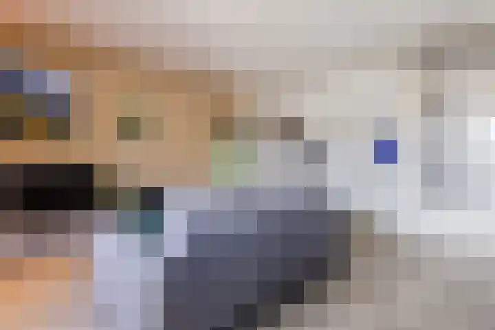 Terwaenen 84 Oss foto 3