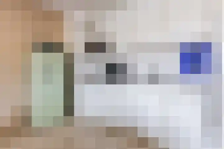 Terwaenen 84 Oss thumbnail 4