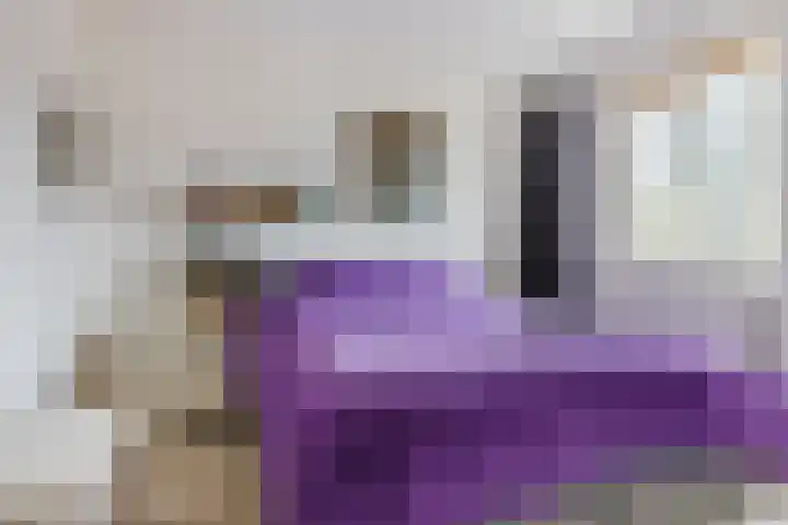 Terwaenen 84 Oss thumbnail 5