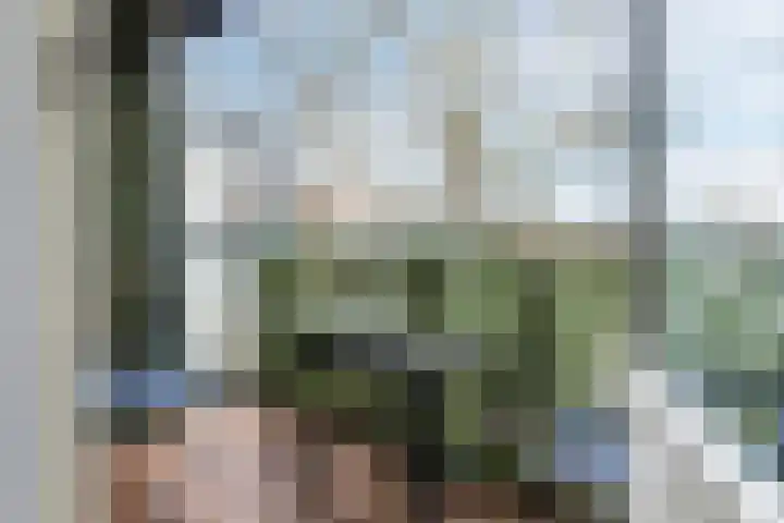 Terwaenen 84 Oss thumbnail 8