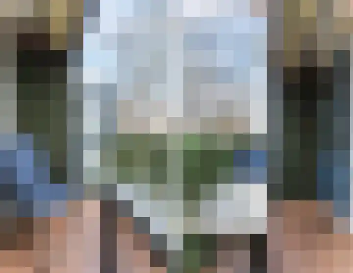 Terwaenen 84 Oss thumbnail 9