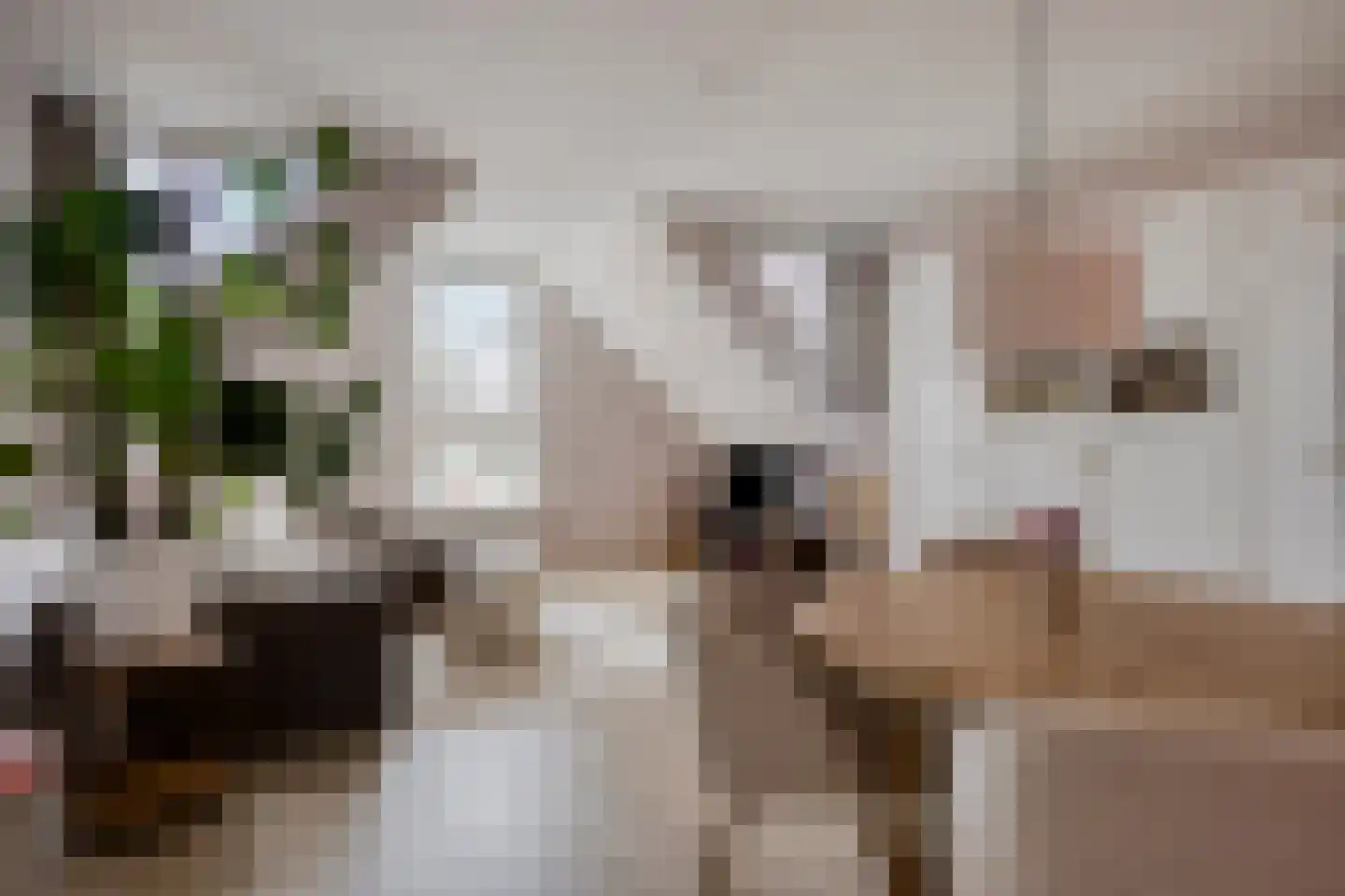 Terwaenen 88 Oss thumbnail 13