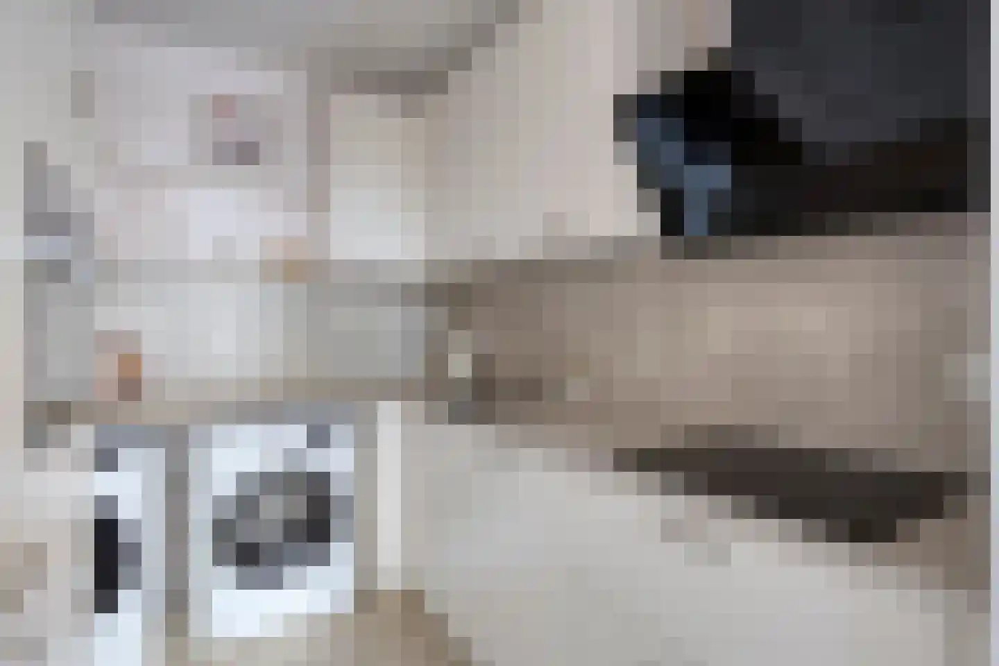 Terwaenen 88 Oss thumbnail 17