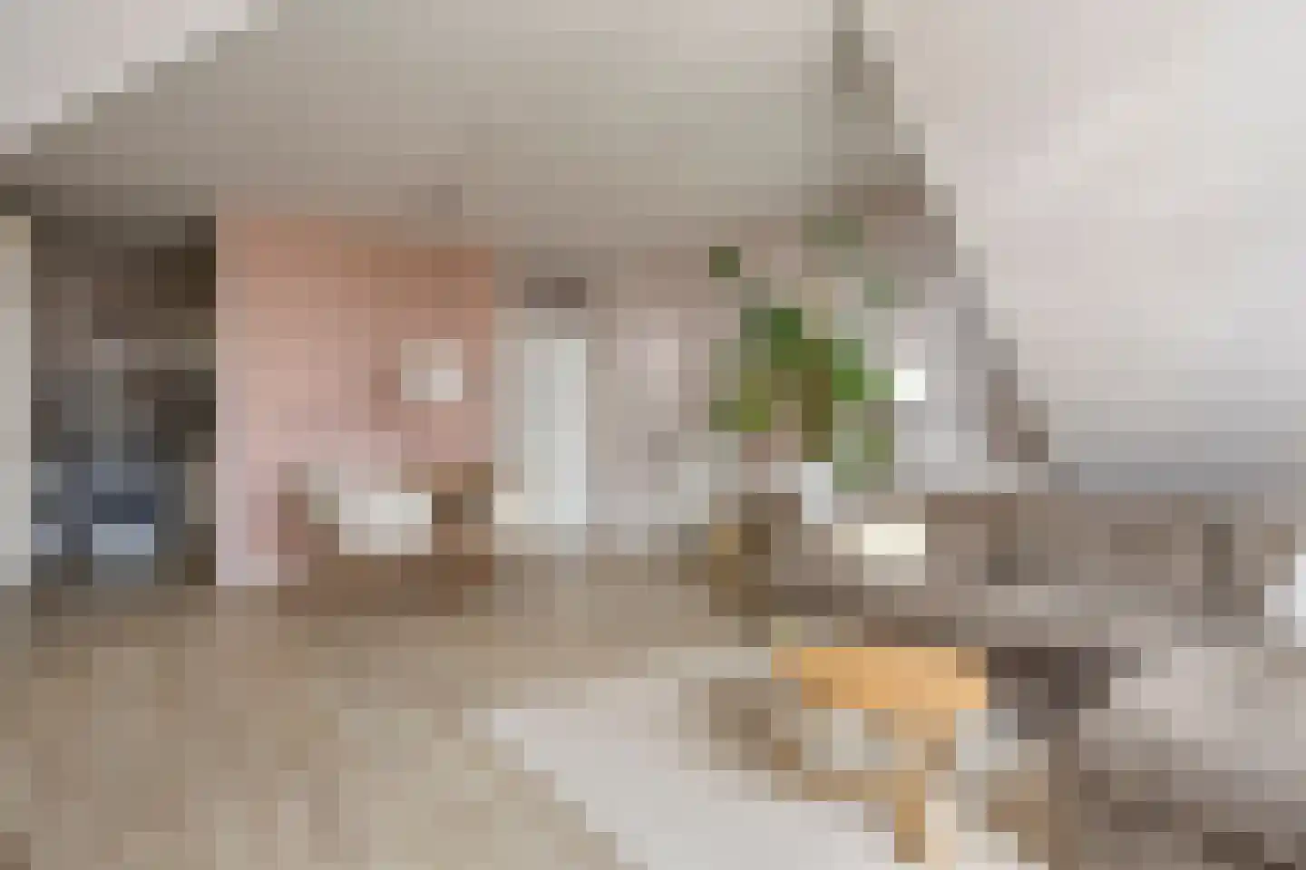 Terwaenen 88 Oss foto 2