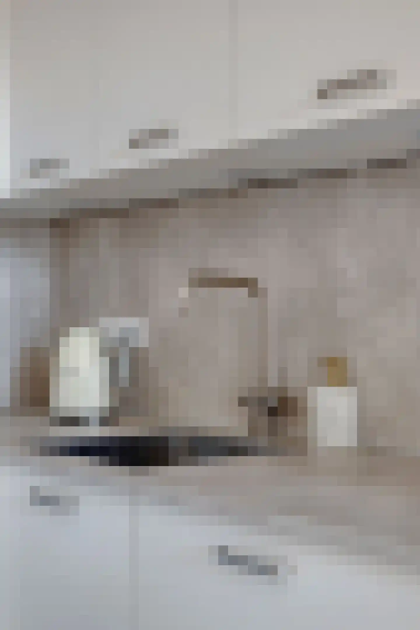 Terwaenen 88 Oss thumbnail 20
