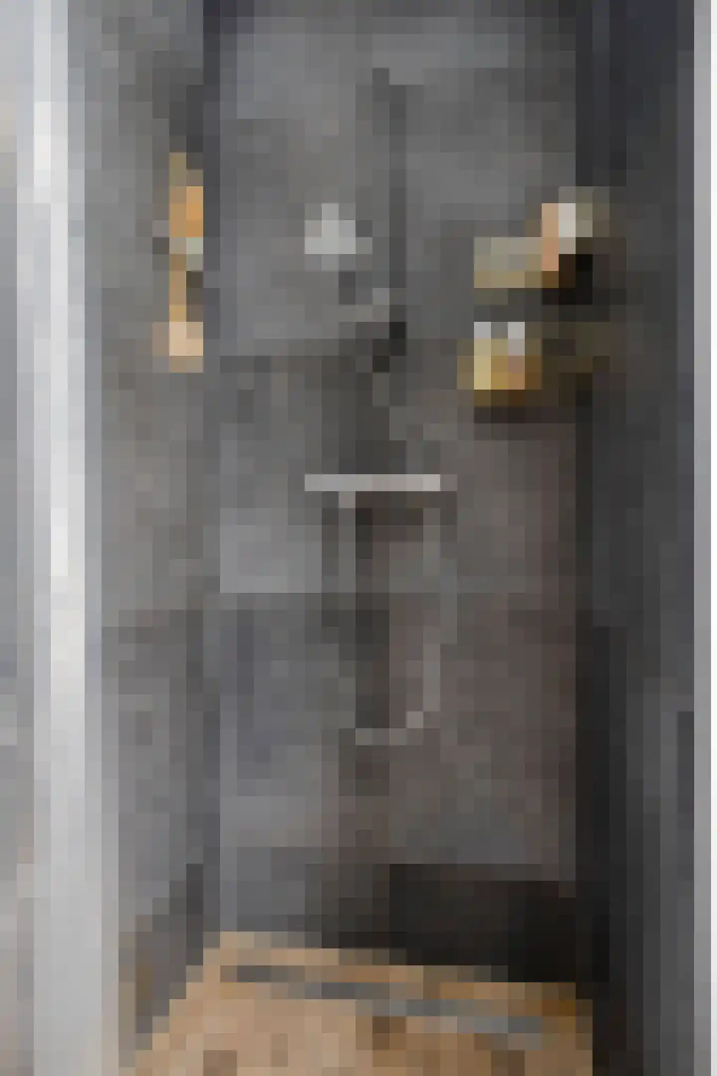 Terwaenen 88 Oss thumbnail 25