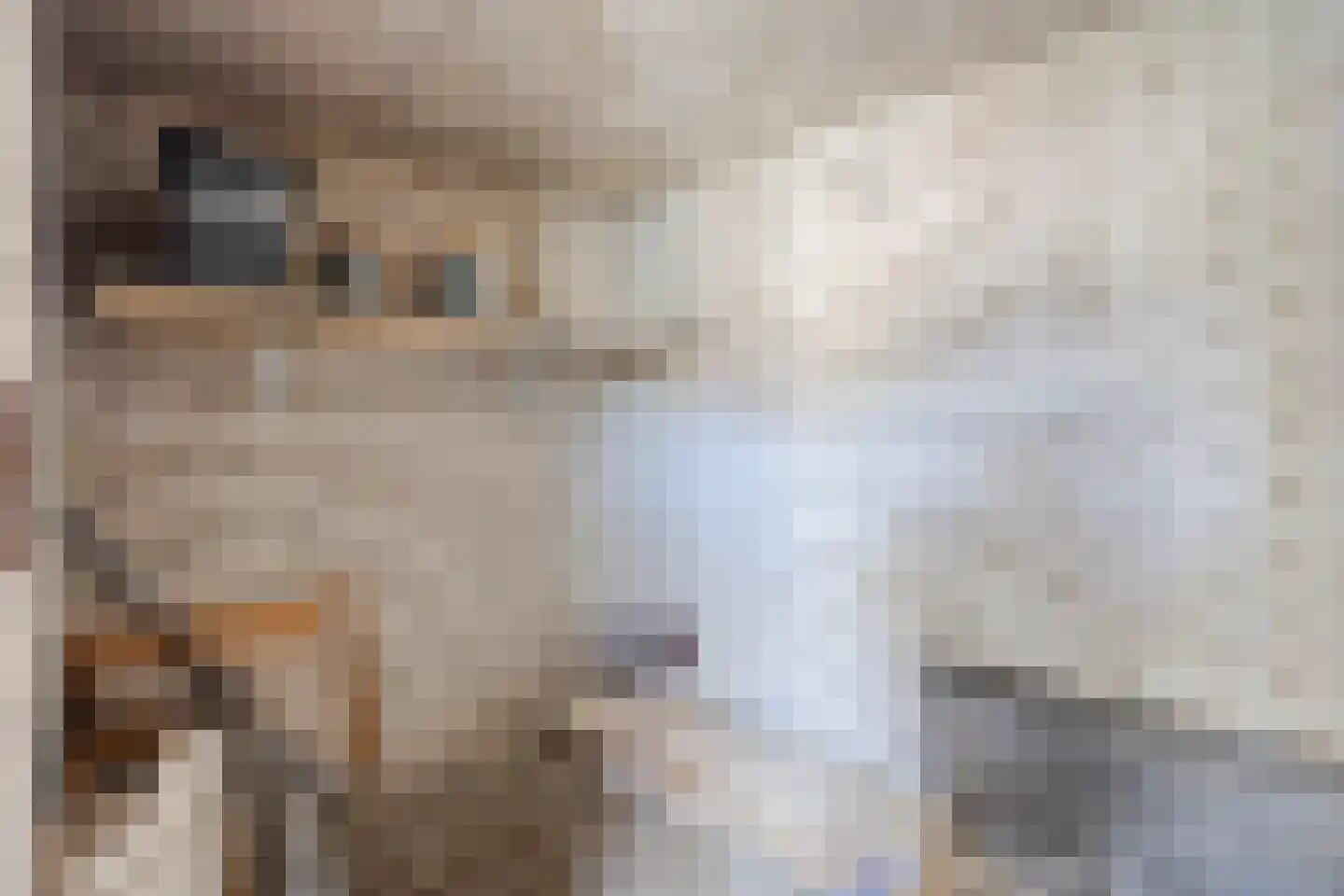 Terwaenen 88 Oss thumbnail 28