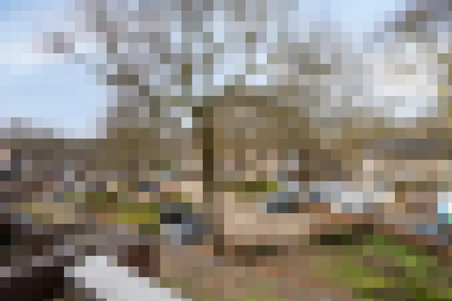 Terwaenen 88 Oss thumbnail 29