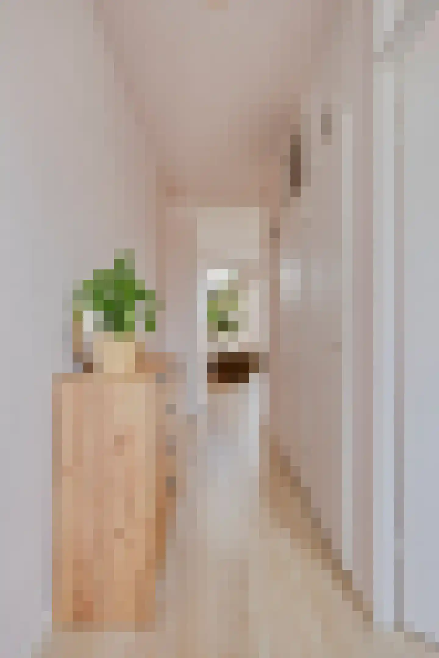 Terwaenen 88 Oss thumbnail 4