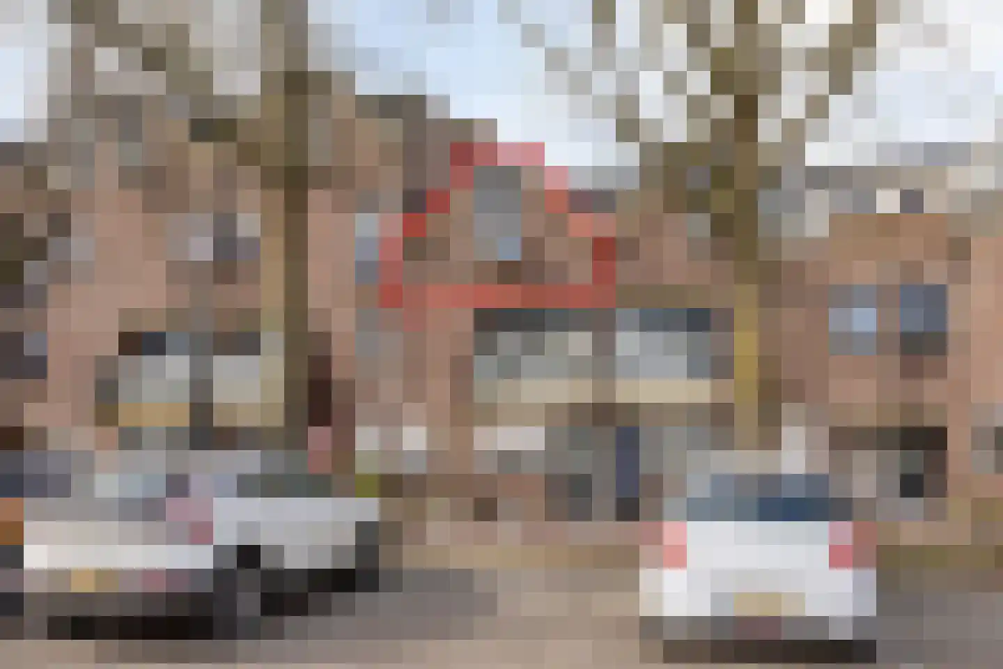 Terwaenen 88 Oss thumbnail 5