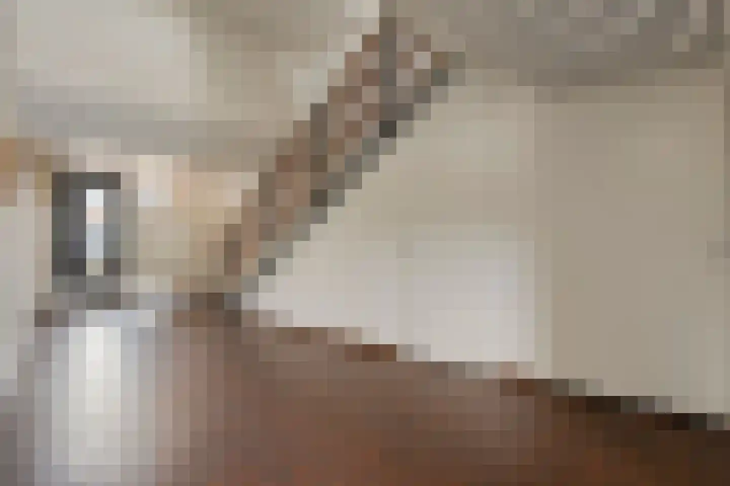 Terwaenen 88 Oss thumbnail 7