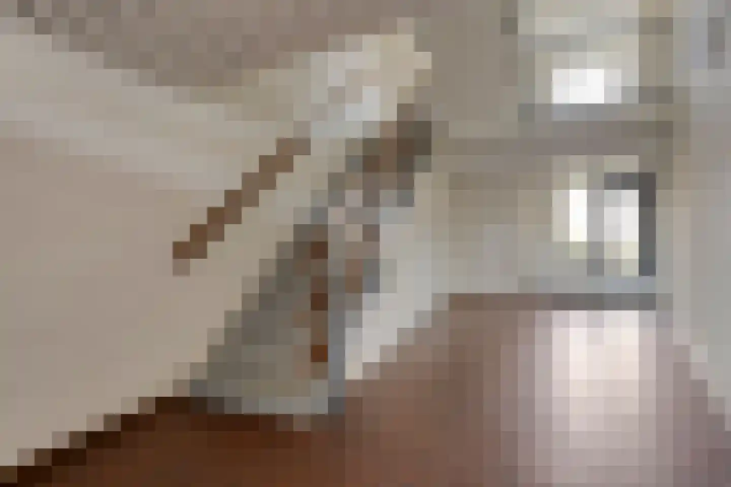 Terwaenen 88 Oss thumbnail 8