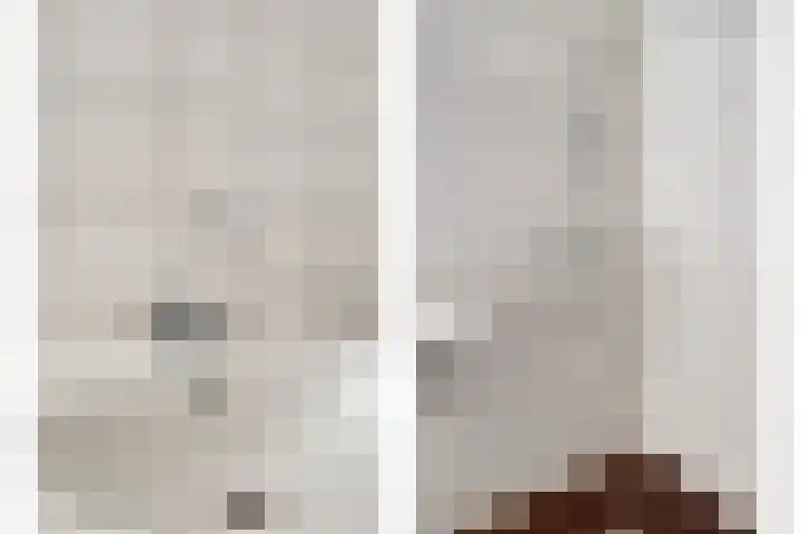Terwaenen 98 Oss thumbnail 10
