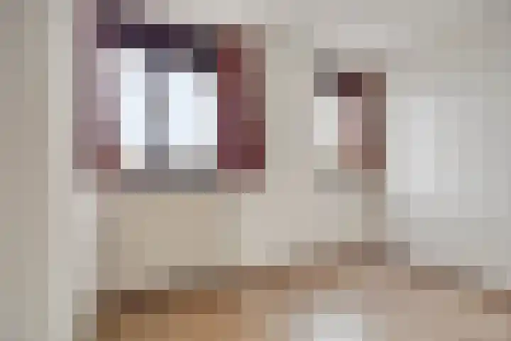 Terwaenen 98 Oss thumbnail 11