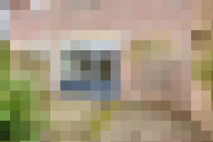 Terwaenen 98 Oss thumbnail 13