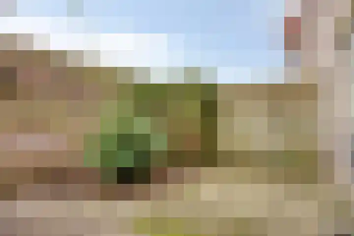 Terwaenen 98 Oss thumbnail 14