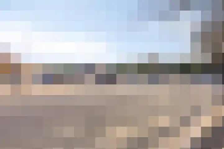 Terwaenen 98 Oss thumbnail 20