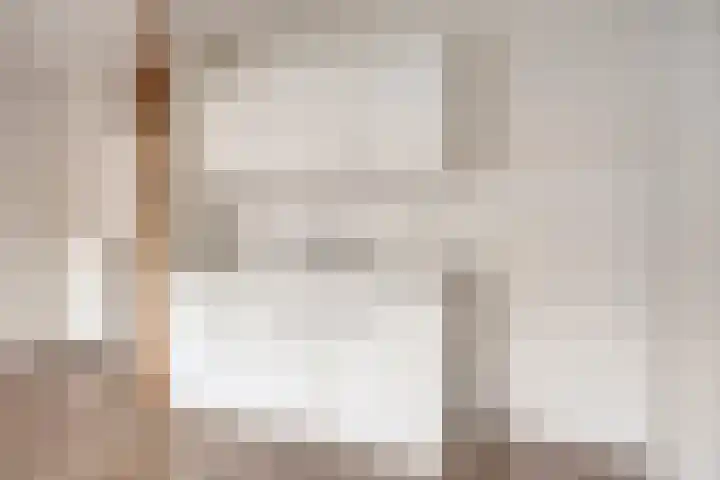 Terwaenen 98 Oss thumbnail 5