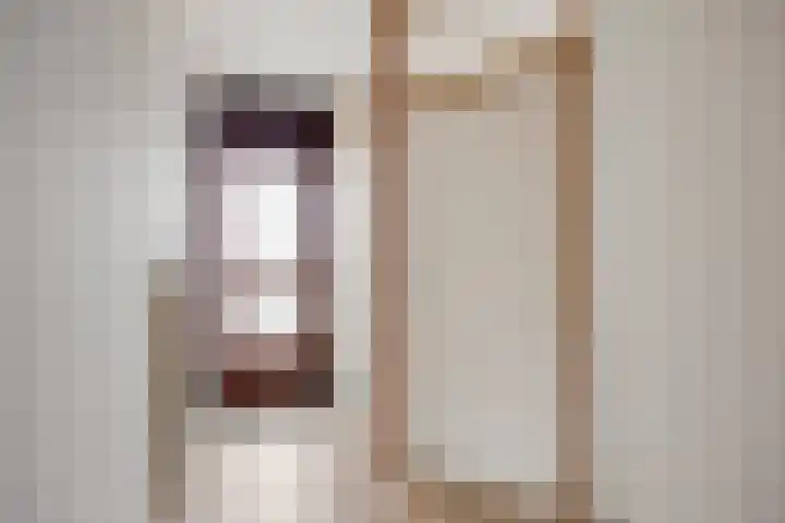 Terwaenen 98 Oss thumbnail 7