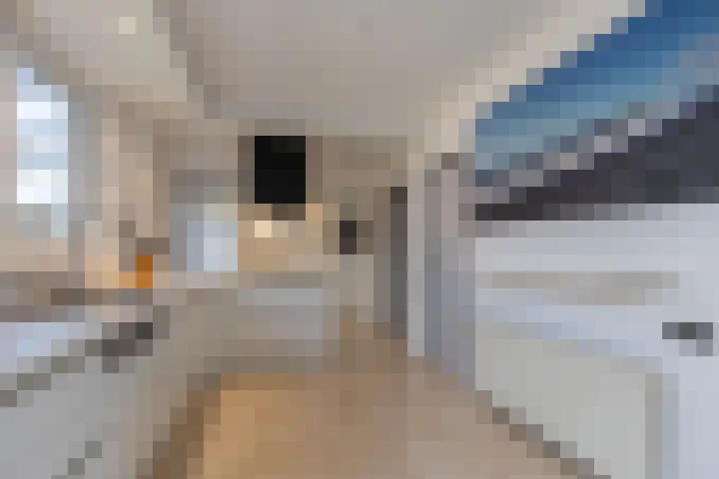 Terwaerderveldje 22 Landgraaf thumbnail 11