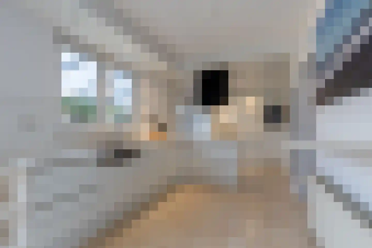 Terwaerderveldje 22 Landgraaf thumbnail 9