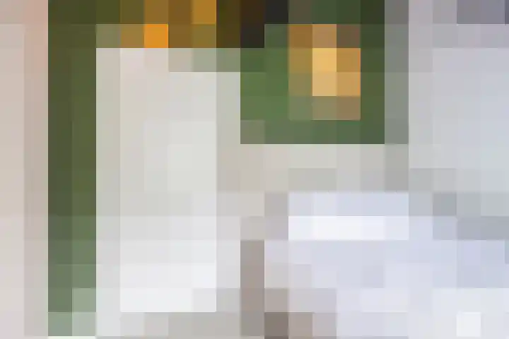 Terweeweg 10 Oegstgeest thumbnail 16