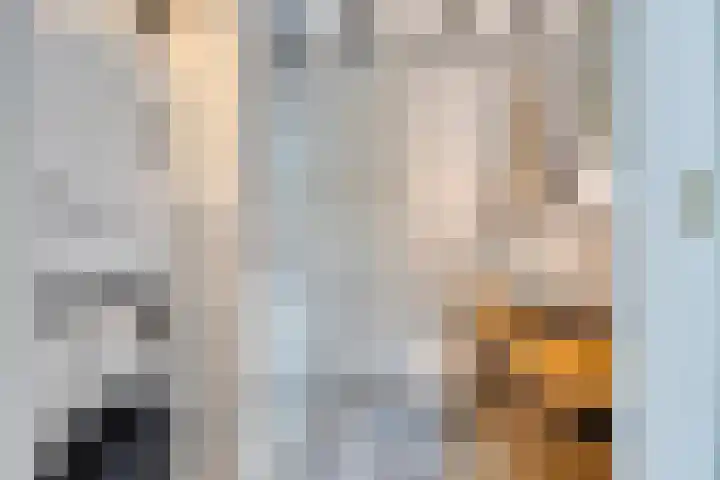 Terweeweg 10 Oegstgeest thumbnail 17