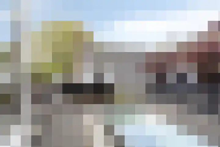 Terweeweg 10 Oegstgeest thumbnail 22
