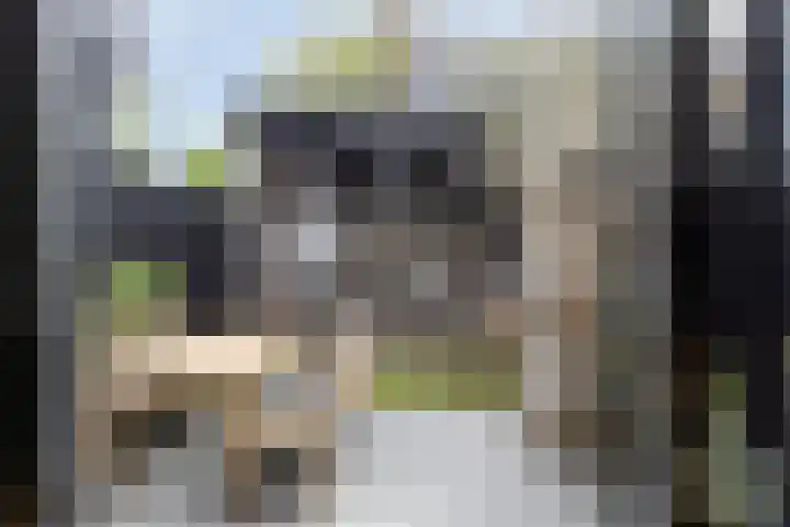 Terweeweg 10 Oegstgeest thumbnail 23