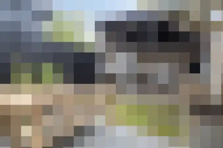 Terweeweg 10 Oegstgeest thumbnail 24
