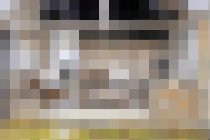Terweeweg 10 Oegstgeest thumbnail 25
