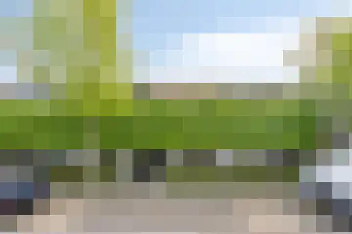 Terweeweg 10 Oegstgeest thumbnail 4