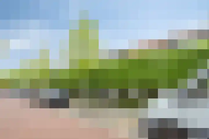 Terweeweg 10 Oegstgeest thumbnail 5