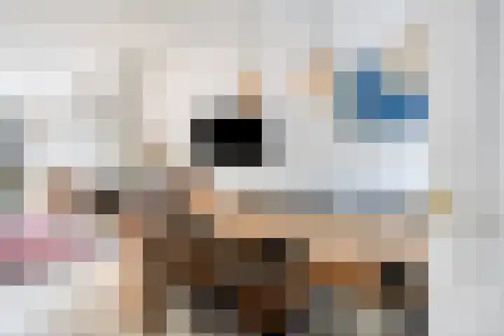 Terweeweg 10 Oegstgeest thumbnail 7