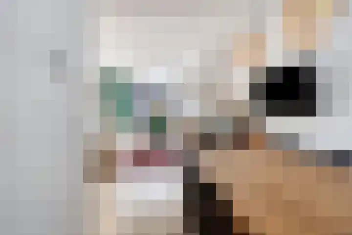 Terweeweg 10 Oegstgeest thumbnail 8