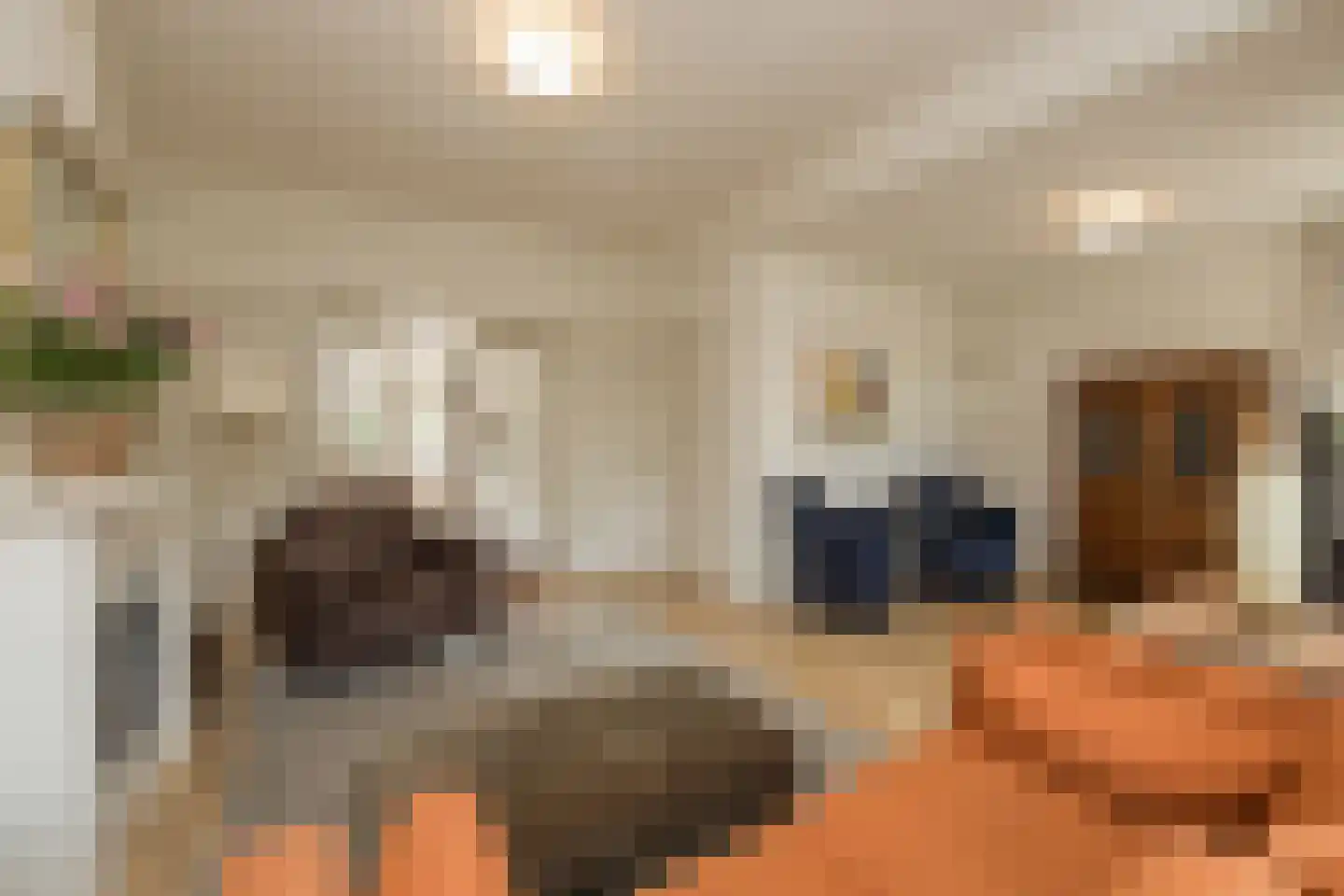 Terweeweg 108 Oegstgeest thumbnail 12