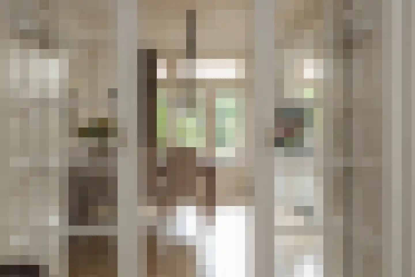 Terweeweg 108 Oegstgeest thumbnail 13