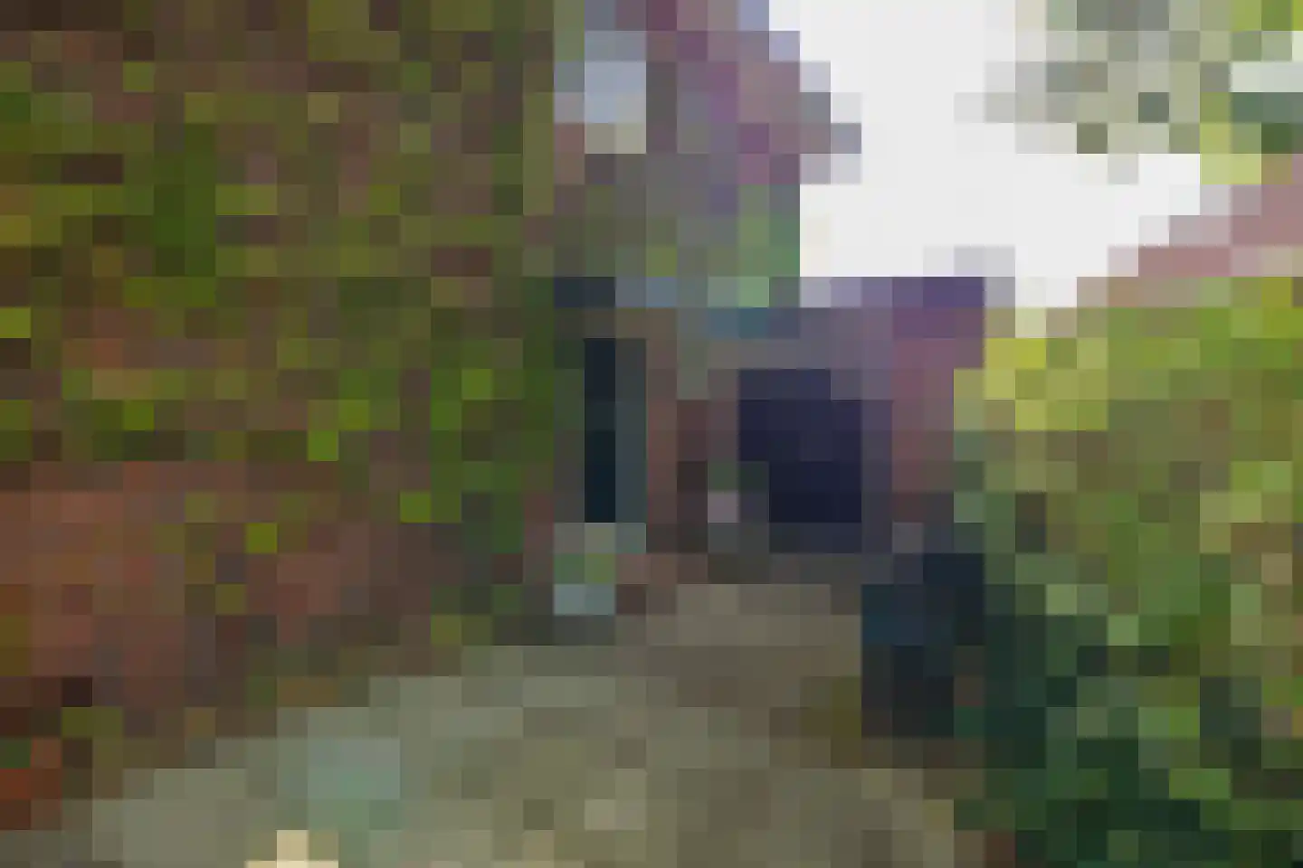 Terweeweg 108 Oegstgeest thumbnail 5