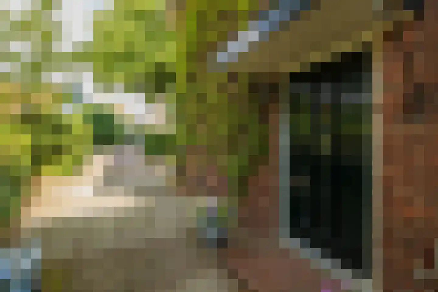 Terweeweg 108 Oegstgeest thumbnail 6