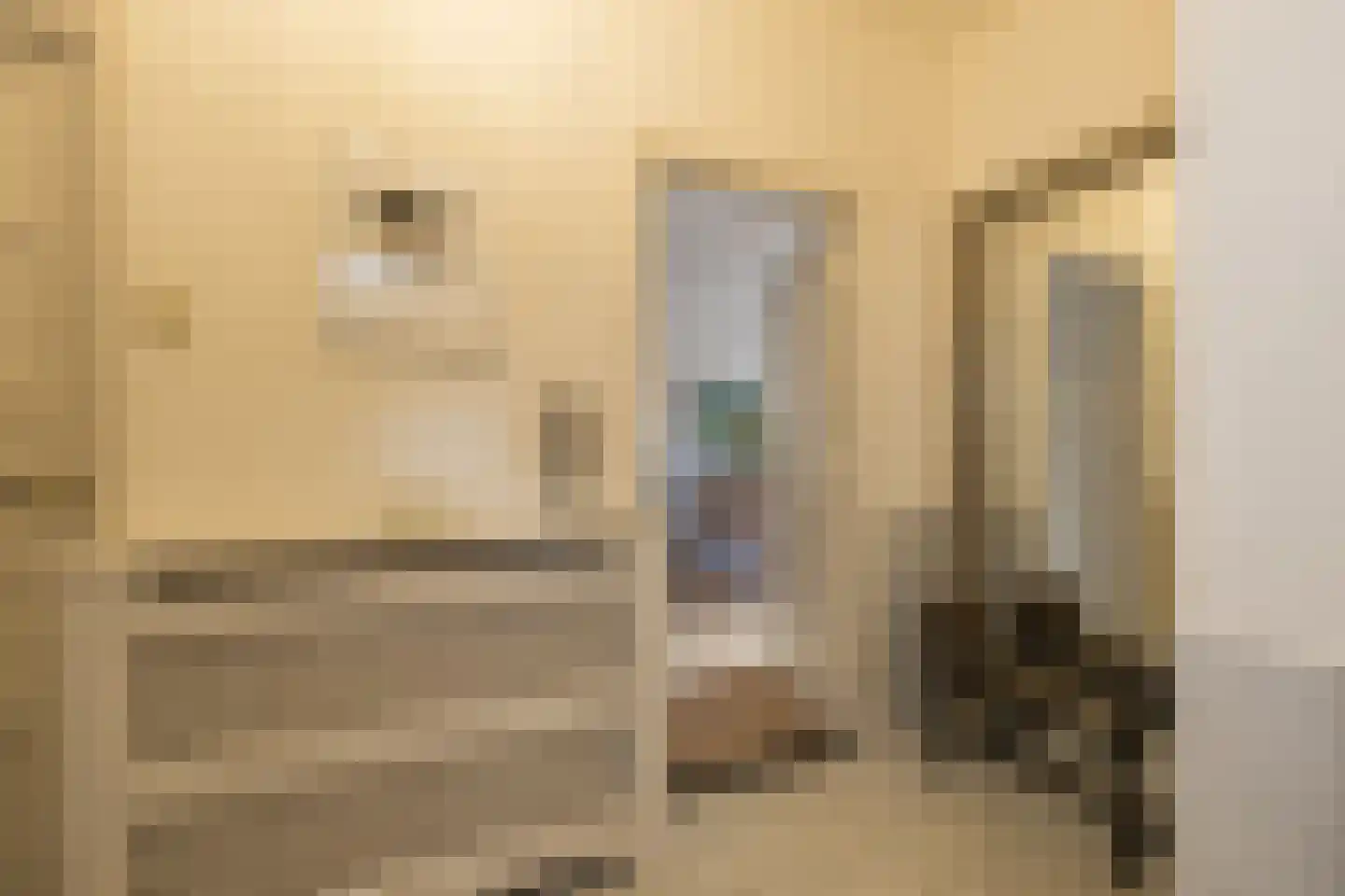 Terweeweg 108 Oegstgeest thumbnail 8