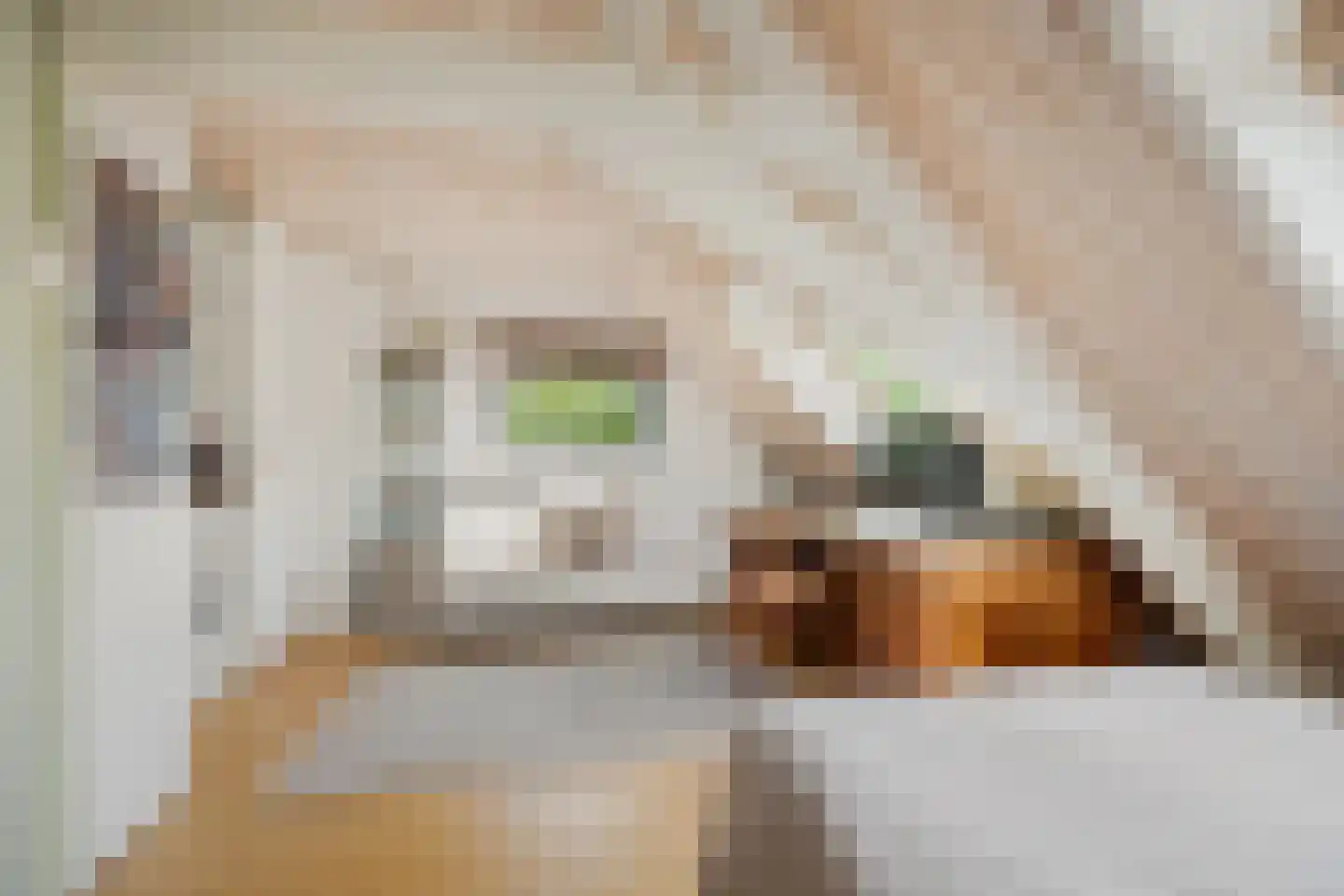 Terweeweg 152 Oegstgeest thumbnail 14