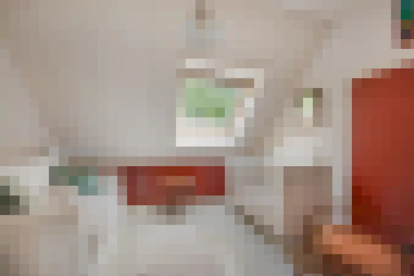 Terweeweg 152 Oegstgeest thumbnail 18