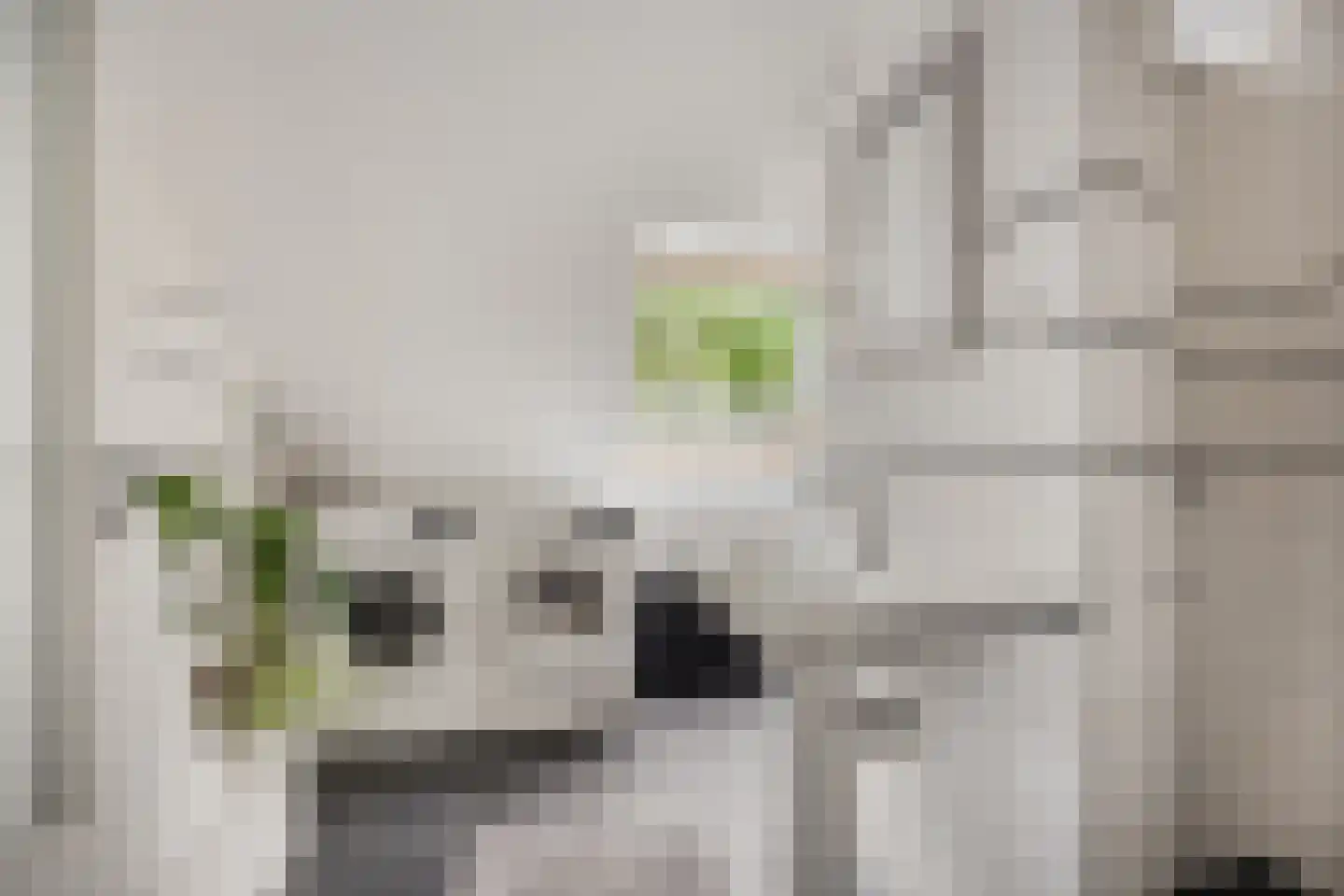 Terweeweg 152 Oegstgeest thumbnail 19