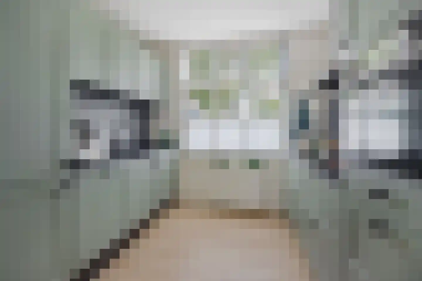 Terweeweg 152 Oegstgeest thumbnail 25