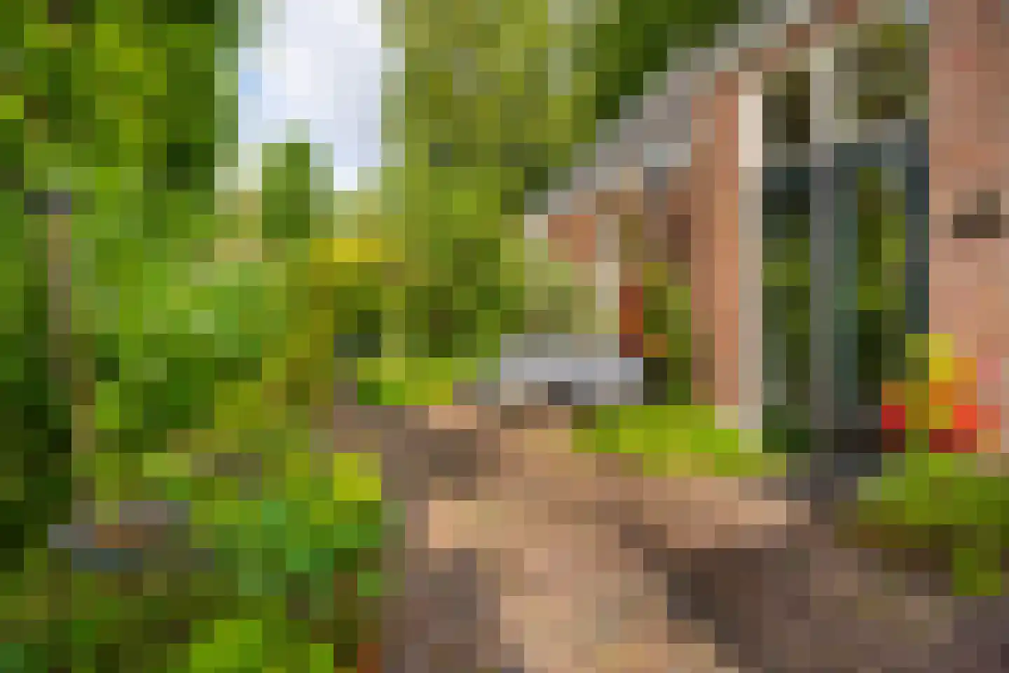 Terweeweg 152 Oegstgeest thumbnail 30