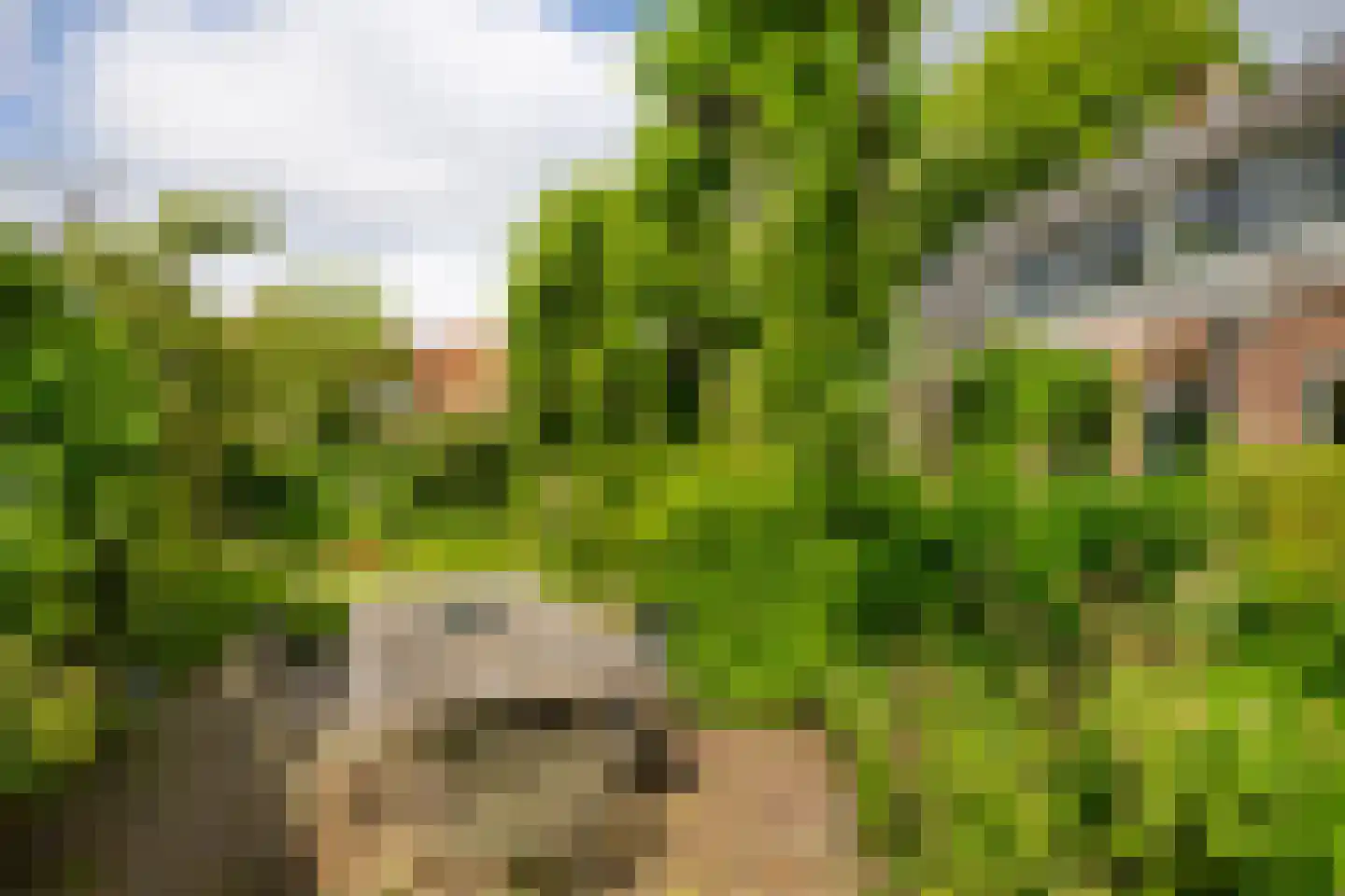 Terweeweg 152 Oegstgeest thumbnail 31