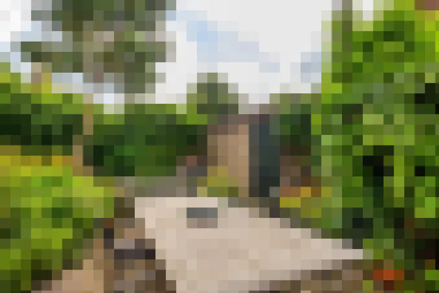 Terweeweg 152 Oegstgeest thumbnail 32