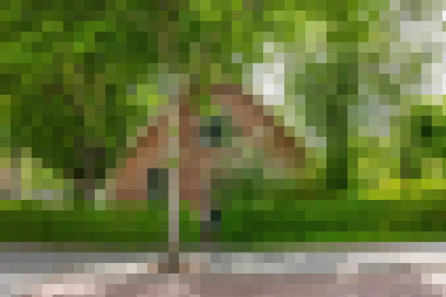 Terweeweg 152 Oegstgeest thumbnail 33